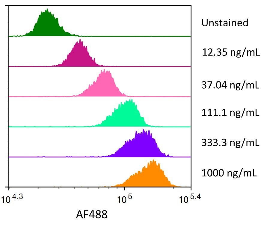 Streptavidin coated beads conjugated to biotinylated anti-Human MUC-1 Monoclonal Antibody were stained with the indicated concentrations of Recombinant Human MUC-1 Fc Chimera Alexa Fluor® 488.